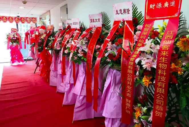 中國(guó)靈芝十大品牌|仙客來(lái)靈芝|仙客來(lái)靈芝破壁孢子粉|仙客來(lái)孢子油|仙客來(lái)靈芝飲片|仙客來(lái)破壁孢子粉|仙客來(lái)靈芝中藥飲片|馳名商標(biāo)|channel2.com.cn|