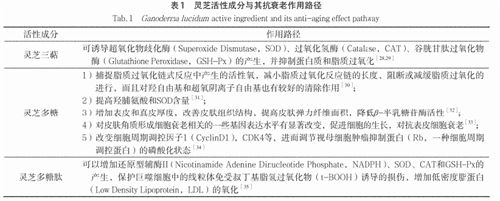 杭州亞運(yùn)會(huì)官方靈芝產(chǎn)品供應(yīng)商|杭州亞運(yùn)會(huì)官方供應(yīng)商|中國靈芝十大品牌|仙客來靈芝|仙客來靈芝破壁孢子粉|仙客來孢子油|仙客來靈芝飲片|仙客來破壁孢子粉|靈芝孢子油|孢子粉|靈芝破壁孢子粉|靈芝|中華老字號(hào)