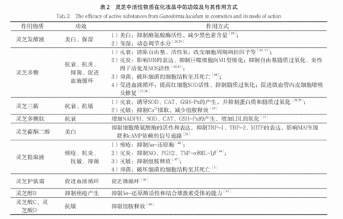 杭州亞運(yùn)會(huì)官方靈芝產(chǎn)品供應(yīng)商|杭州亞運(yùn)會(huì)官方供應(yīng)商|中國靈芝十大品牌|仙客來靈芝|仙客來靈芝破壁孢子粉|仙客來孢子油|仙客來靈芝飲片|仙客來破壁孢子粉|靈芝孢子油|孢子粉|靈芝破壁孢子粉|靈芝|中華老字號(hào)