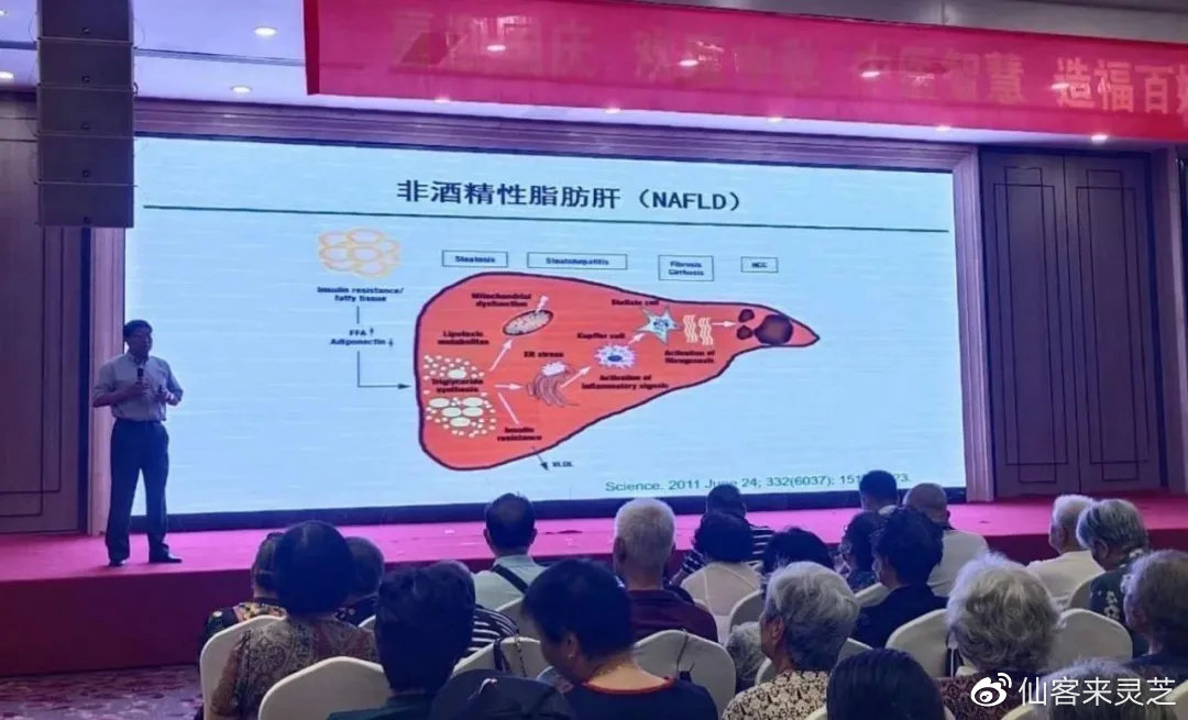 杭州亞運會官方靈芝產(chǎn)品供應(yīng)商|杭州亞運會官方供應(yīng)商|中國靈芝十大品牌|仙客來靈芝|仙客來靈芝破壁孢子粉|仙客來孢子油|仙客來靈芝飲片|仙客來破壁孢子粉|靈芝孢子油|孢子粉|靈芝破壁孢子粉|靈芝|中華老字號